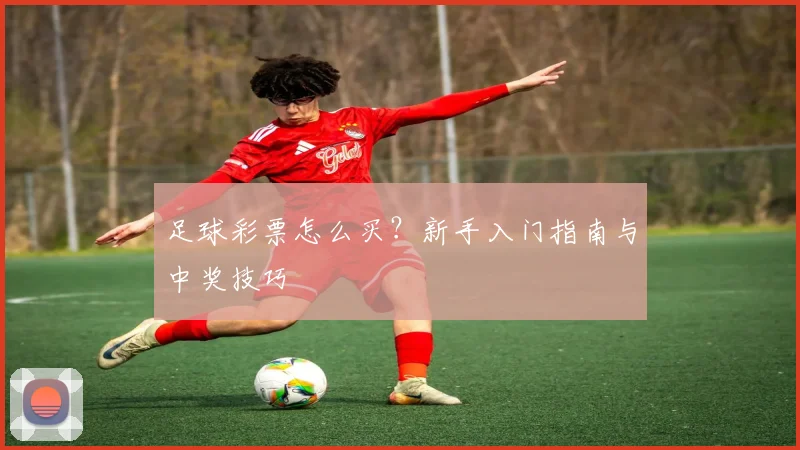 足球彩票怎么买?新手入门指南与中奖技巧