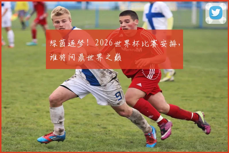 绿茵逐梦！2026世界杯比赛安排，谁将问鼎世界之巅