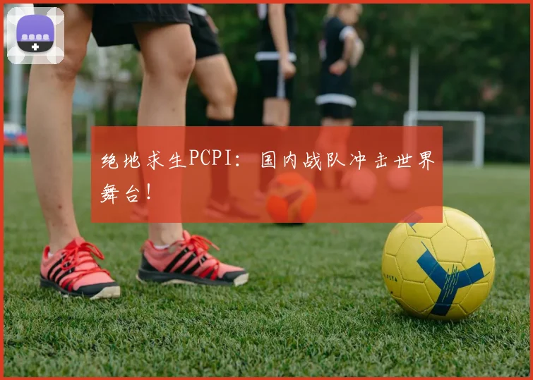 绝地求生PCPI：国内战队冲击世界舞台！