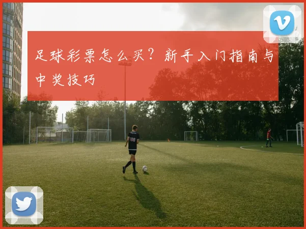 足球彩票怎么买?新手入门指南与中奖技巧